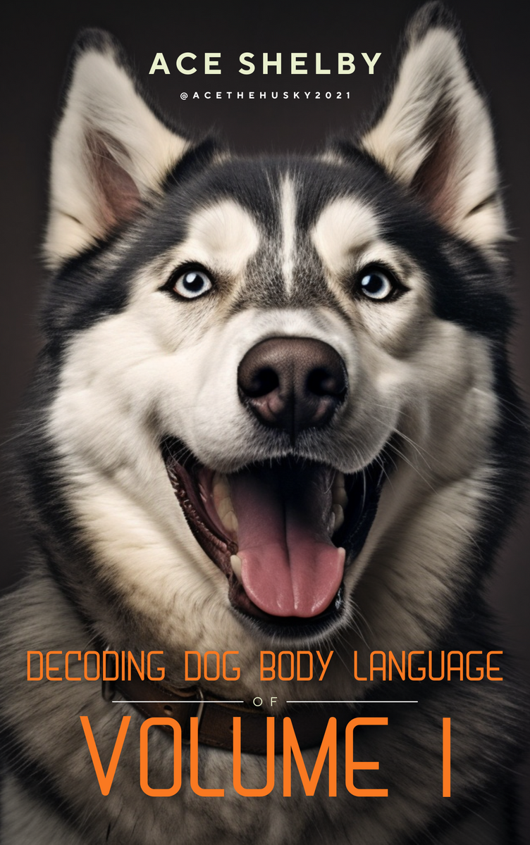 Decoding Dog Body Language - Volume 1 - A Guide to Strengthening the B ...